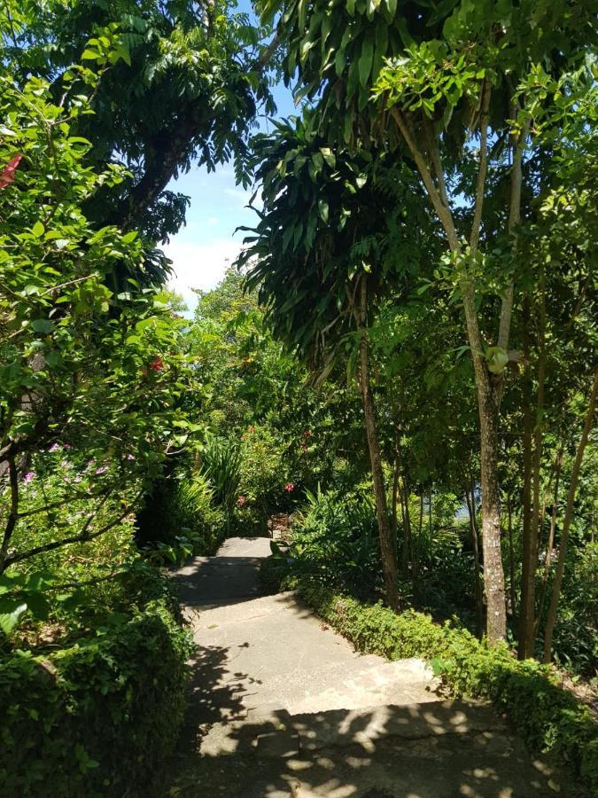 Pouso Do Sol - Apartamento Com Vista Panoramica Em Morro 莫罗圣保罗 外观 照片